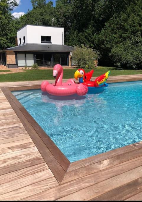 Magnifique Villa Avec Piscine En Sologne Vouzeron 외부 사진